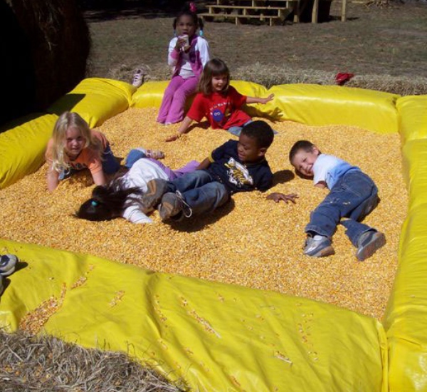 Suzanne’s Fruit Farm